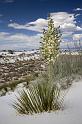 070 White Sands National Monument